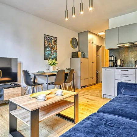 Pod Reglami By Royal Aparts アパート